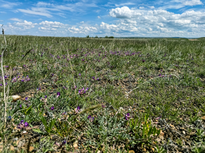 Big Sky Ranch | Malta, Montana | 11,367 +/- Acres - image 24