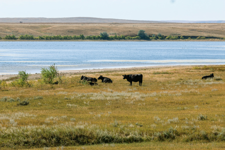 Big Sky Ranch | Malta, Montana | 11,367 +/- Acres - image 36