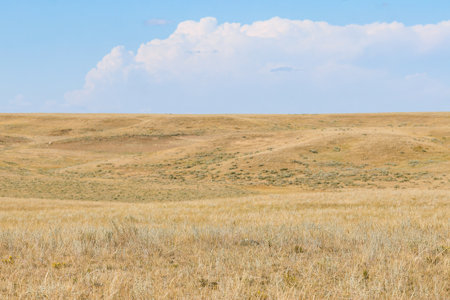 Big Sky Ranch | Malta, Montana | 11,367 +/- Acres - image 35