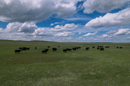 Big Sky Ranch | Malta, Montana | 11,367 +/- Acres - image 19