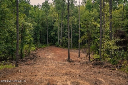 36± Acre Hunting Property Near Bude, MS - image 15