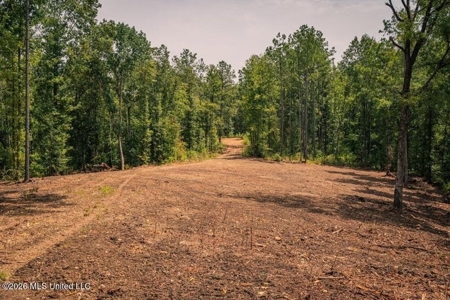 36± Acre Hunting Property Near Bude, MS - image 33