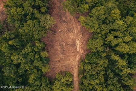36± Acre Hunting Property Near Bude, MS - image 1