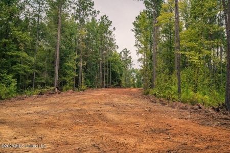 36± Acre Hunting Property Near Bude, MS - image 16