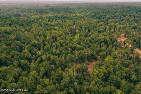 36± Acre Hunting Property Near Bude, MS - image 6
