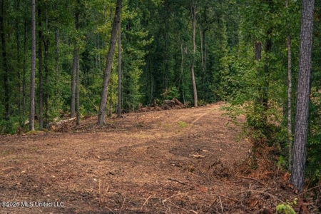 36± Acre Hunting Property Near Bude, MS - image 22