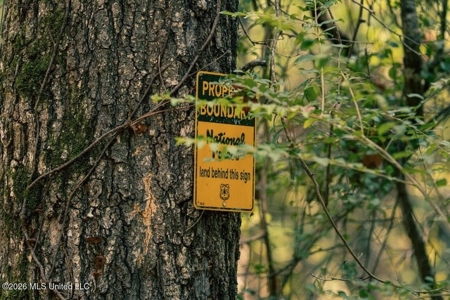 36± Acre Hunting Property Near Bude, MS - image 37