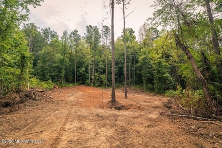 36± Acre Hunting Property Near Bude, MS - image 19