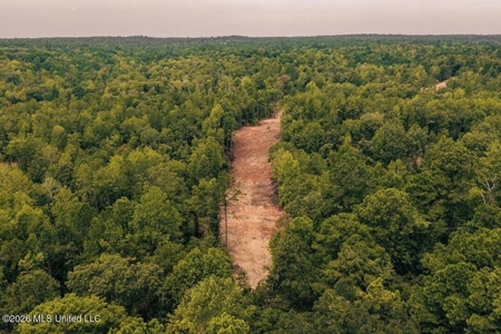 36± Acre Hunting Property Near Bude, MS - image 8