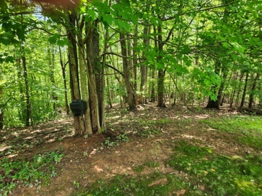 Listing 38