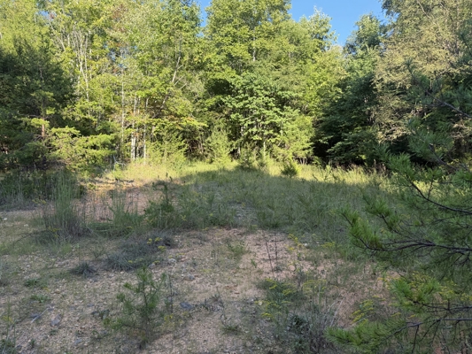 Secluded Recreational Property for Sale in Fort Blackmore VA