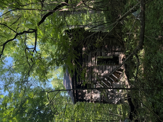 Secluded Recreational Property for Sale in Fort Blackmore VA