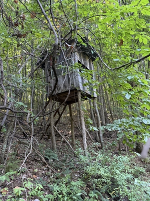 Secluded Recreational Property for Sale in Fort Blackmore VA