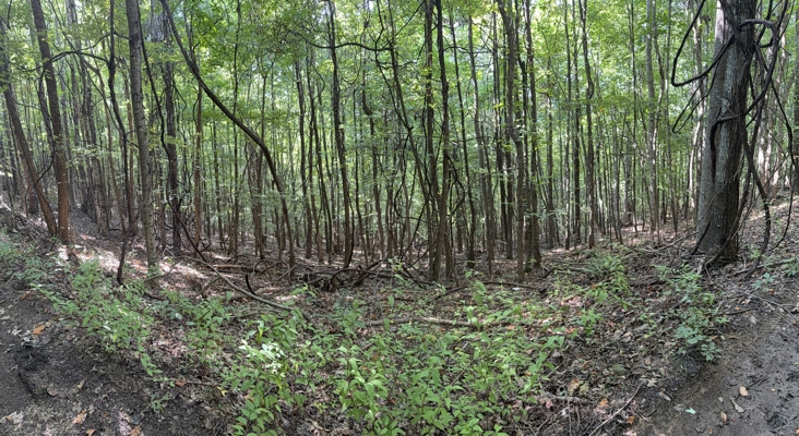 Secluded Recreational Property for Sale in Fort Blackmore VA