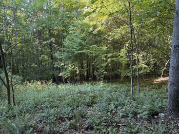 Listing 24