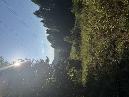 Secluded Recreational Property for Sale in Fort Blackmore VA