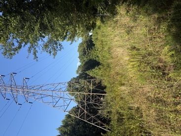 Listing 24