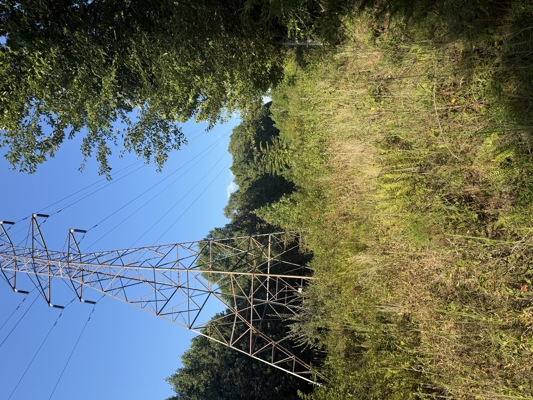 Secluded Recreational Property for Sale in Fort Blackmore VA