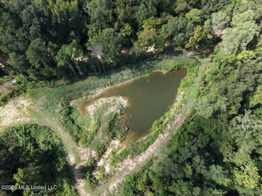 281± Acre Hunting Property in Natchez, MS