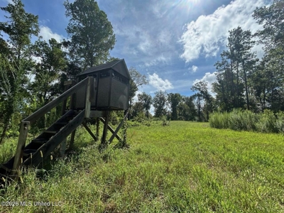 281± Acre Hunting Property in Natchez, MS - image 29