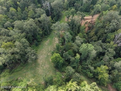281± Acre Hunting Property in Natchez, MS - image 11