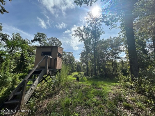 281± Acre Hunting Property in Natchez, MS