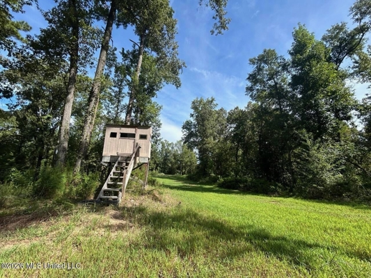 281± Acre Hunting Property in Natchez, MS