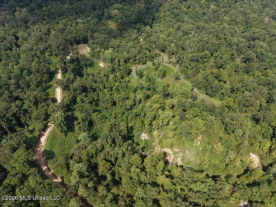 281± Acre Hunting Property in Natchez, MS - image 7