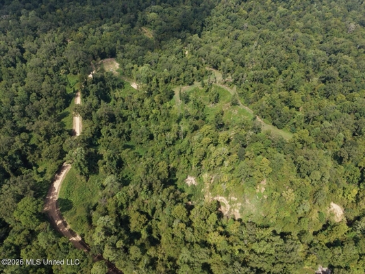 281± Acre Hunting Property in Natchez, MS