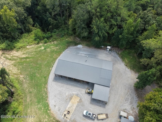 281± Acre Hunting Property in Natchez, MS