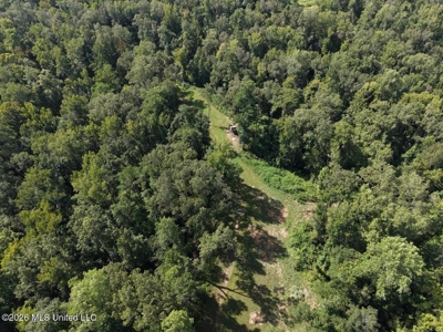 281± Acre Hunting Property in Natchez, MS - image 4