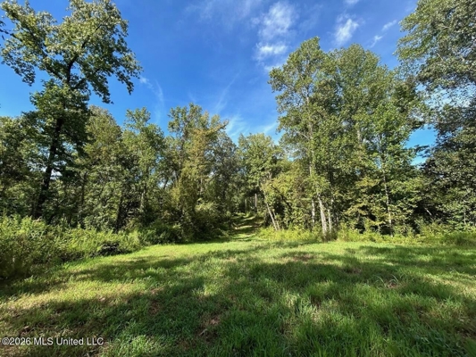 281± Acre Hunting Property in Natchez, MS