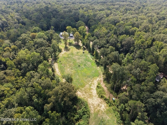 281± Acre Hunting Property in Natchez, MS