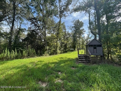 281± Acre Hunting Property in Natchez, MS - image 27