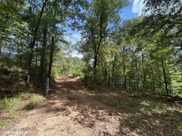 Listing 31