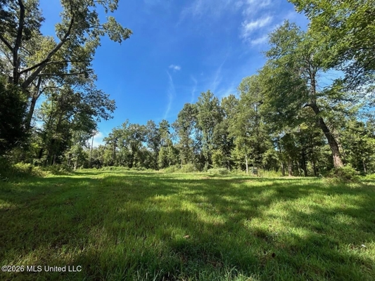 281± Acre Hunting Property in Natchez, MS