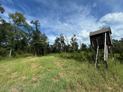281± Acre Hunting Property in Natchez, MS - image 32