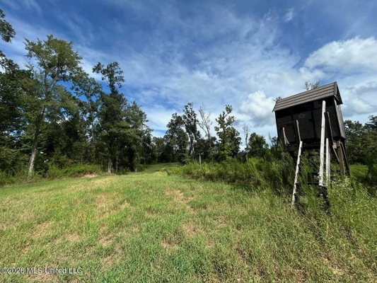 281± Acre Hunting Property in Natchez, MS