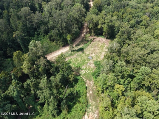 281± Acre Hunting Property in Natchez, MS