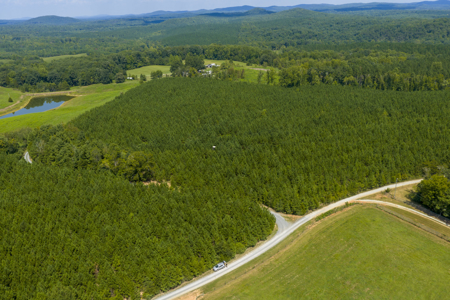25+- Acres In The Scenic Uwharries-Private Country Retreat! - image 5