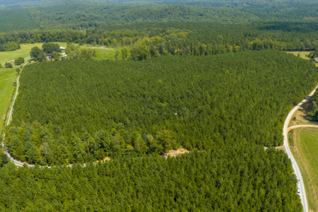 25+- Acres In The Scenic Uwharries-Private Country Retreat! - image 18