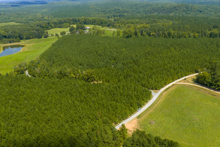 25+- Acres In The Scenic Uwharries-Private Country Retreat! - image 19
