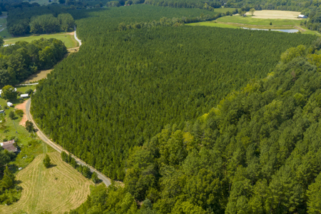 25+- Acres In The Scenic Uwharries-Private Country Retreat! - image 10