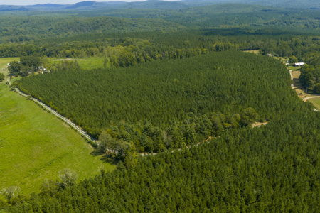25+- Acres In The Scenic Uwharries-Private Country Retreat! - image 17
