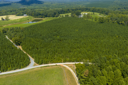 25+- Acres In The Scenic Uwharries-Private Country Retreat! - image 6