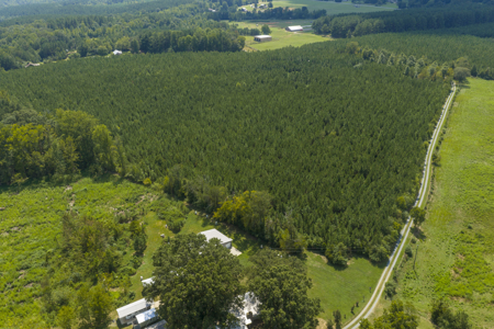 25+- Acres In The Scenic Uwharries-Private Country Retreat! - image 14