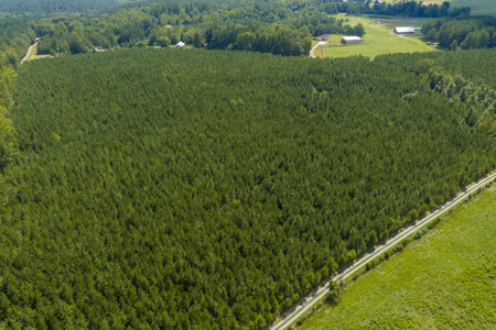 25+- Acres In The Scenic Uwharries-Private Country Retreat! - image 15