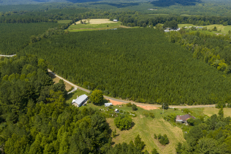 25+- Acres In The Scenic Uwharries-Private Country Retreat! - image 7