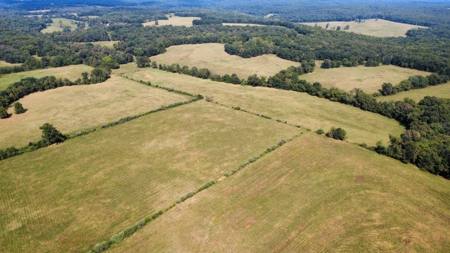 Richard's Ranch for Sale Near Rolla, MO | 574± Acres - image 40