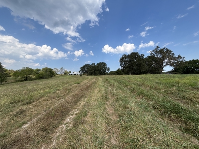 Richard's Ranch for Sale Near Rolla, MO | 574± Acres - image 5